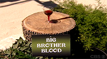 Big Brother 8 - Shot for Shot veto competition
